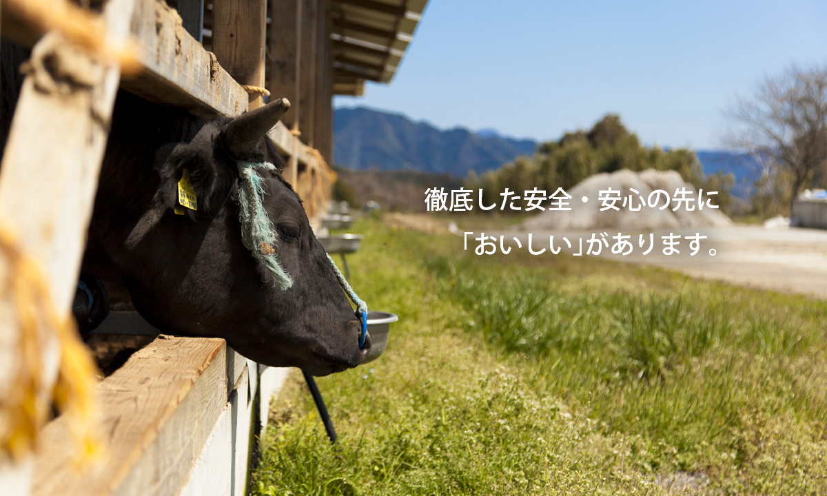 水、空気、土。豊かな自然の中で、「おいしい」のひと言につきる宮崎牛を育てています。